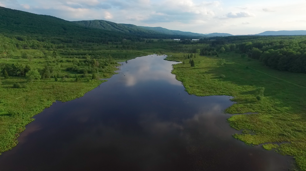 Screen Shot 2016-06-10 at 10.01.03 PM