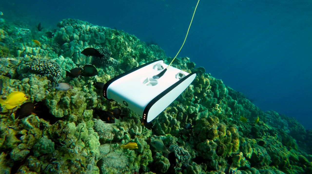 Screenshot 2017-06-05 12.36.33